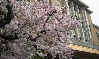 日本大学医学部附属板橋病院麻酔科専門研修プログラム