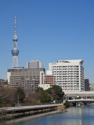  東京都立墨東病院麻酔科専門研修プログラム