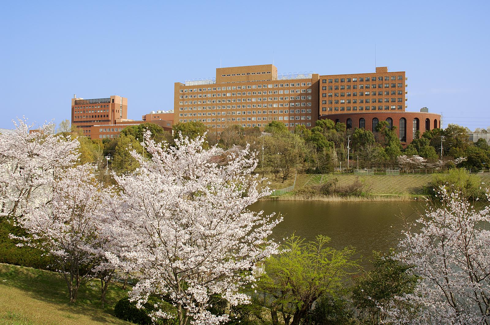 近畿大学病院麻酔科専門医研修プログラム
