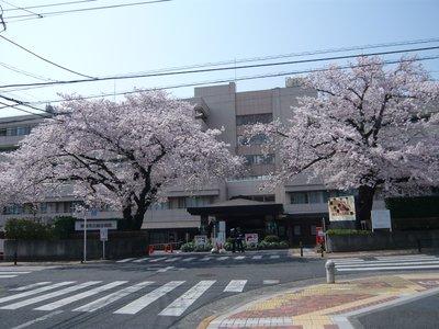 青梅市立総合病院麻酔科専門研修プログラム